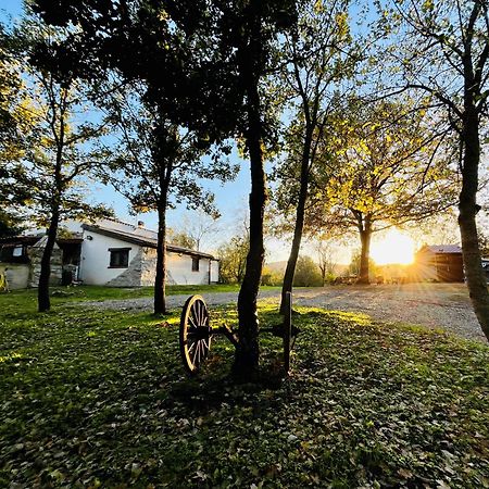 Ovostolai Cottage فوني المظهر الخارجي الصورة
