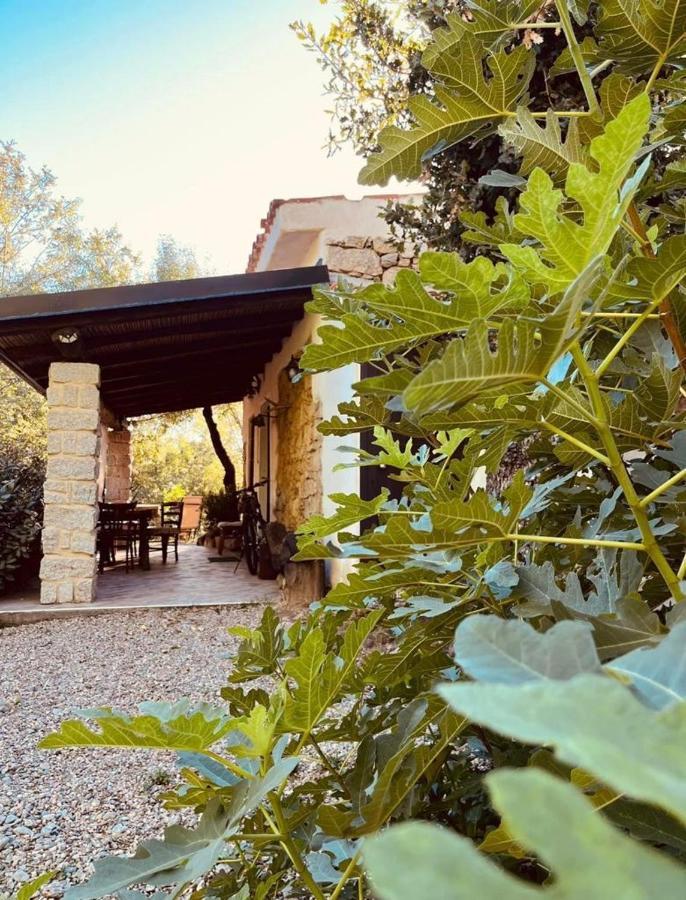 Ovostolai Cottage فوني المظهر الخارجي الصورة
