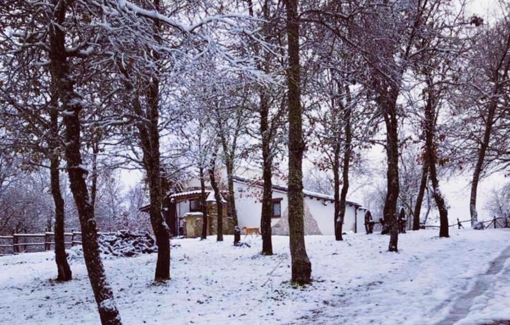 Ovostolai Cottage فوني المظهر الخارجي الصورة
