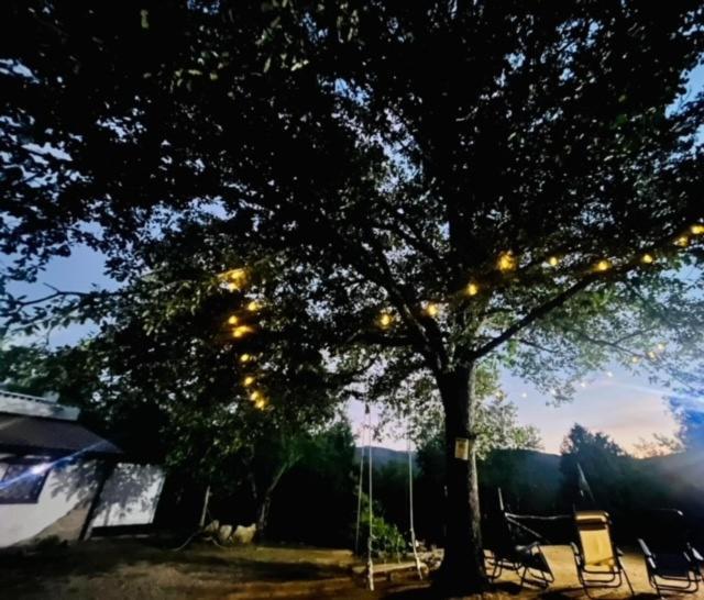 Ovostolai Cottage فوني المظهر الخارجي الصورة