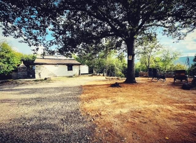 Ovostolai Cottage فوني المظهر الخارجي الصورة
