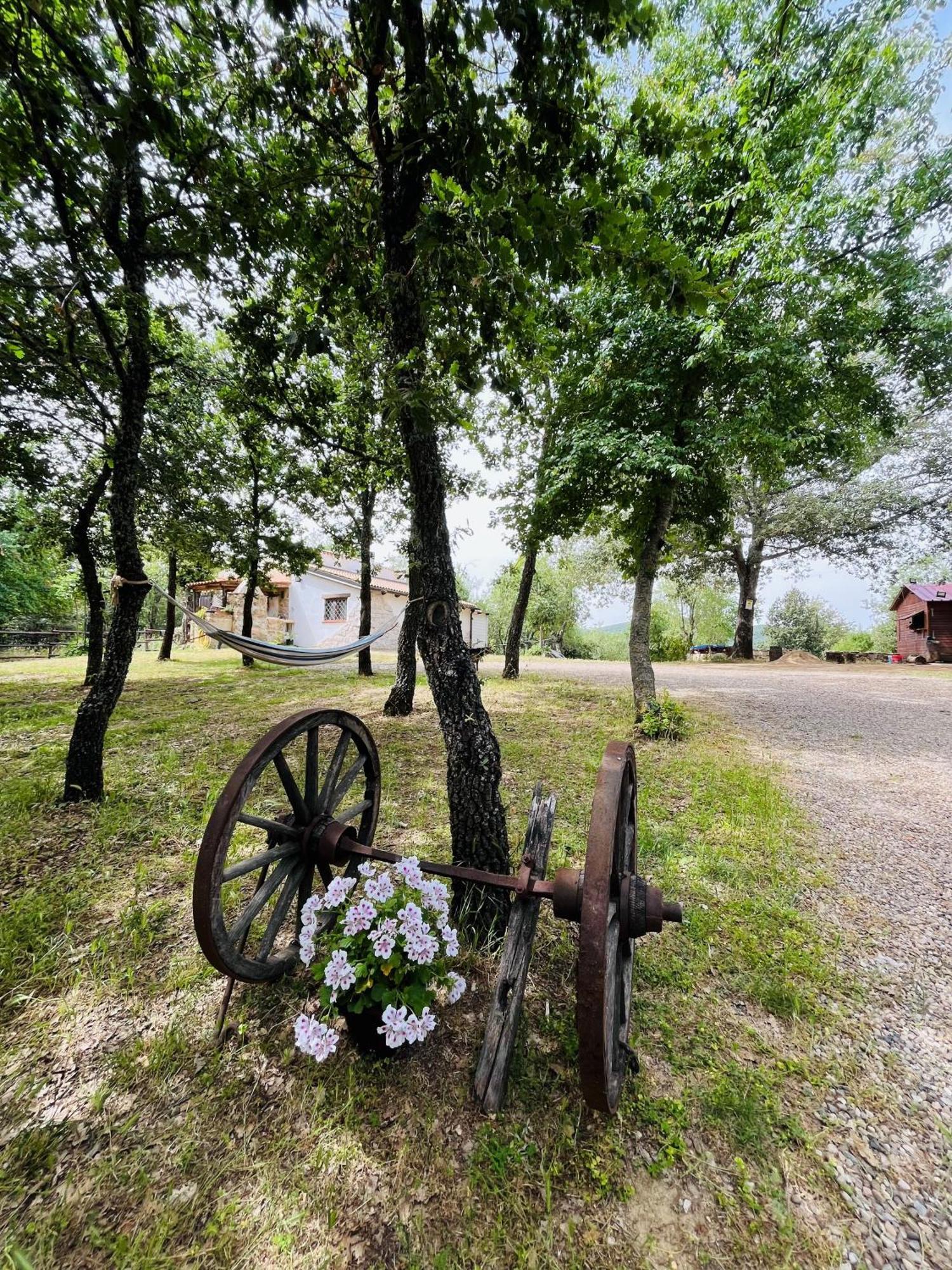 Ovostolai Cottage فوني المظهر الخارجي الصورة